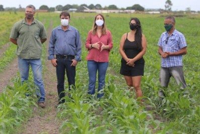 Programa Rio Milho, em Quissamã, tem boa expectativa para a colheita de 2022