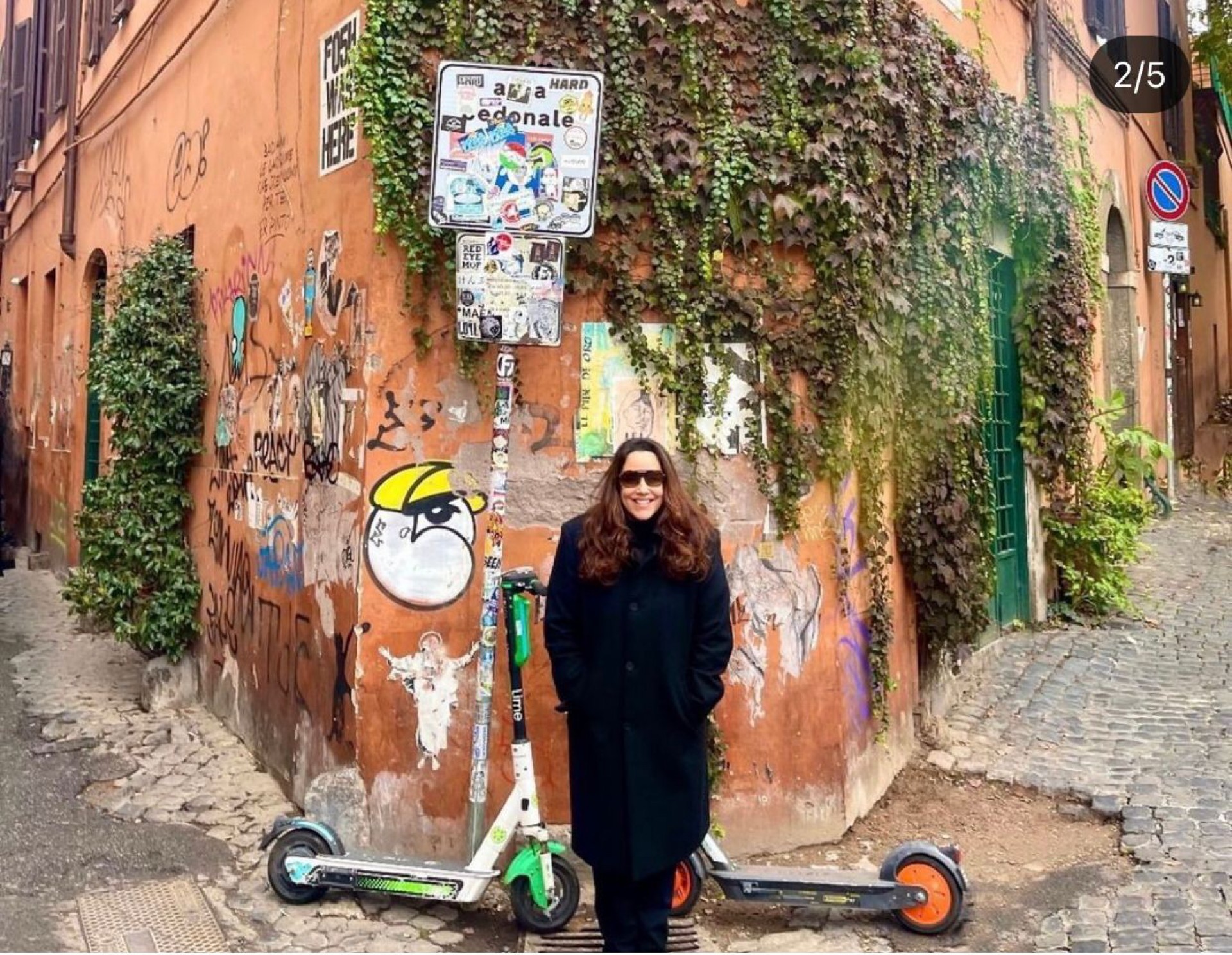 Ana Carolina - Reprodução Internet