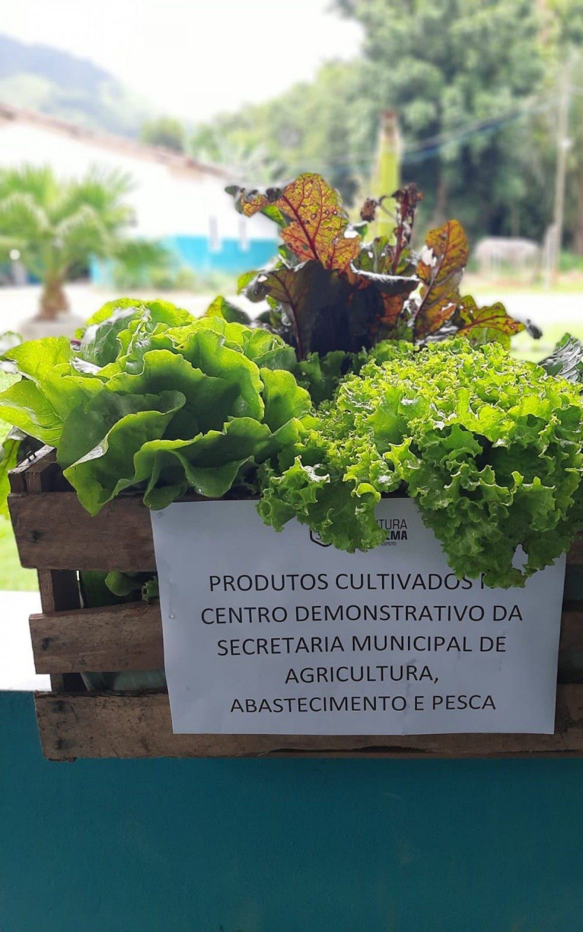 Institui&ccedil;&otilde;es de Saquarema recebem doa&ccedil;&otilde;es de alimentos 
