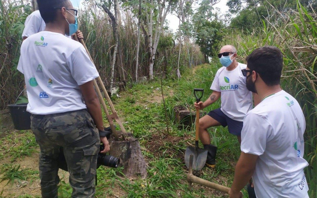 A ideia de criação de ‘Florestas Urbanas' em Volta Redonda atrai moradores - Divulgação