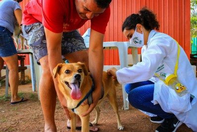 Nilópolis aplicou mais de 15 mil doses de vacinas em cães e gatos