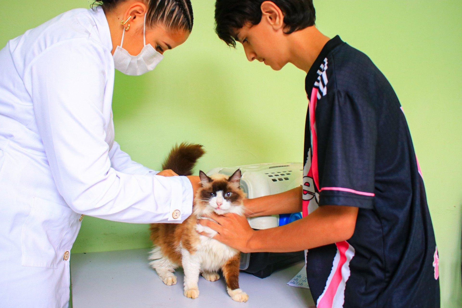 Muitos nilopolitanos levaram seus gatos para a vacinação antirrábica - Divulgação