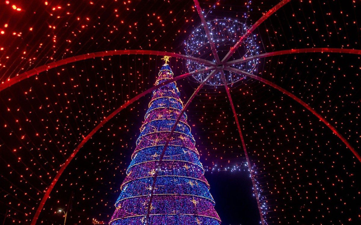 Com direito a contagem regressiva marcada em &uacute;nico som pelo p&uacute;blico, a &aacute;rvore iluminada de 25 metros de altura registrou a empolga&ccedil;&atilde;o e a alegria