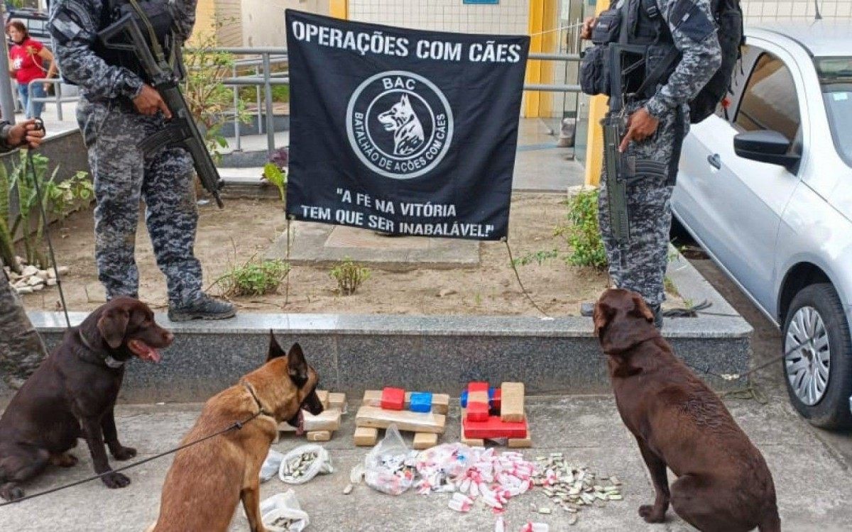 Polícia Militar faz operação no Complexo do Chapadão  - Divulgação/ PMERJ