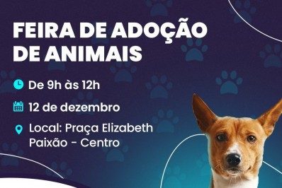 Praça Elizabeth Paixão, em Mesquita, recebe feira de adoção de animais neste domingo (12)