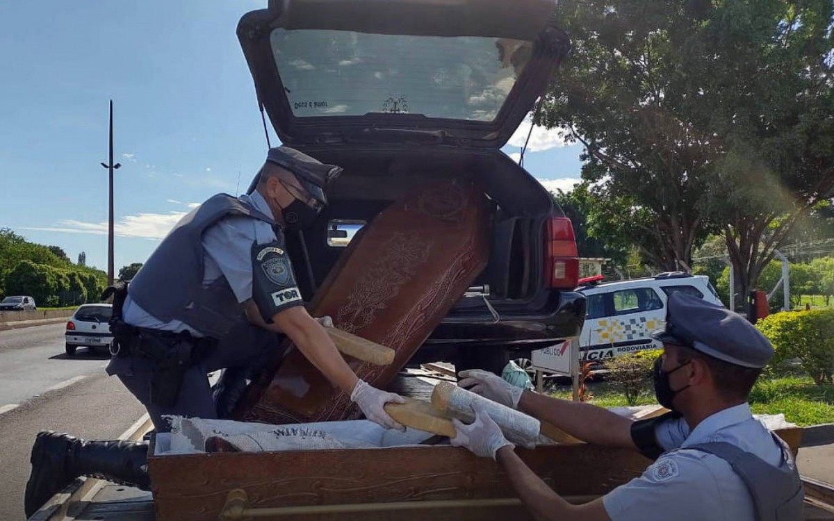 Pol&iacute;cia apreende tabletes de maconha dentro de um caix&atilde;o em S&atilde;o Paulo