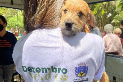 Fim de semana tem saldo de 137 vacinações contra raiva e 5 adoções de animais em Petrópolis