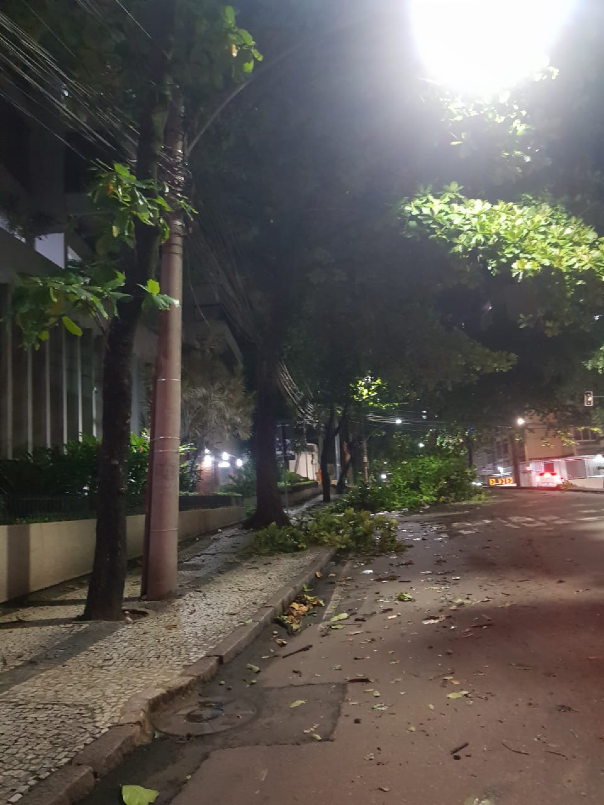 Queda de árvore no Humaitá - DIVULGAÇÃO/CENTRO DE OPERAÇÕES RIO