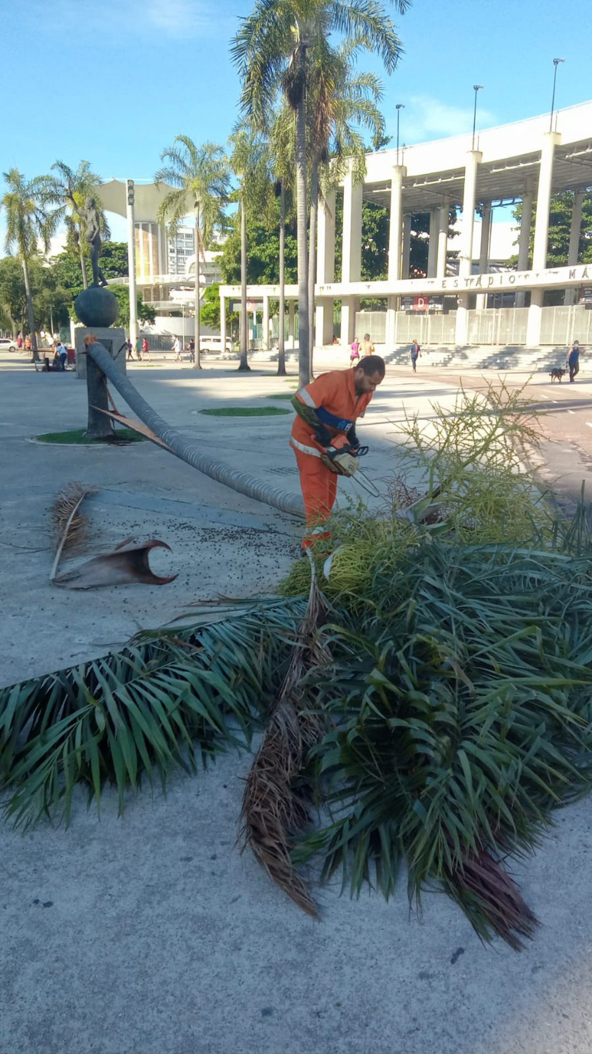 Queda de árvore no Maracanã - DIVULGAÇÃO/CENTRO DE OPERAÇÕES RIO