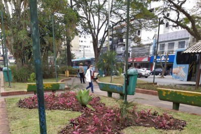Mudas plantadas no jardim da Praça de Olaria em Nova Friburgo são furtadas