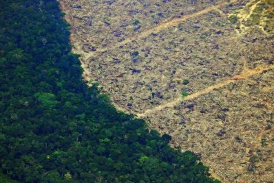Estudo mostra que Ministério do Meio Ambiente descumpre transparência de dados em 47% dos itens