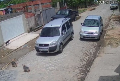Motorista atropela cachorro de propósito e foge, em Rio das Ostras; vídeo