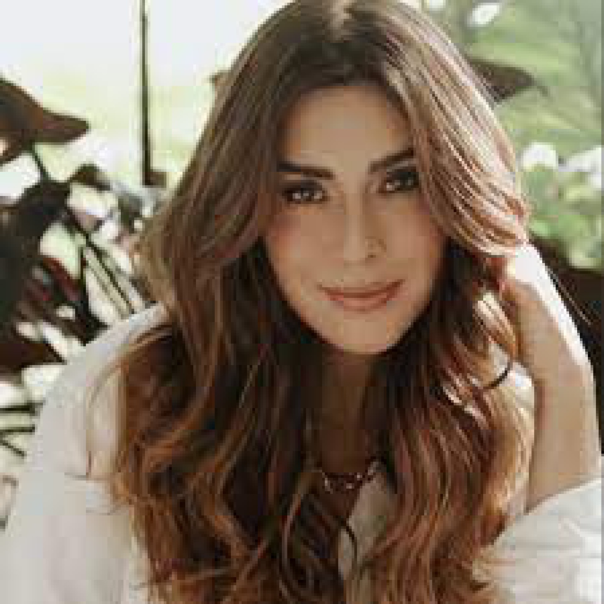 Fernanda Paes Leme - Reprodução Internet