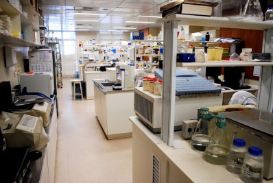 INCA e Ministério da Saúde participam de estudo para ampliar a diversidade genética latino-americana