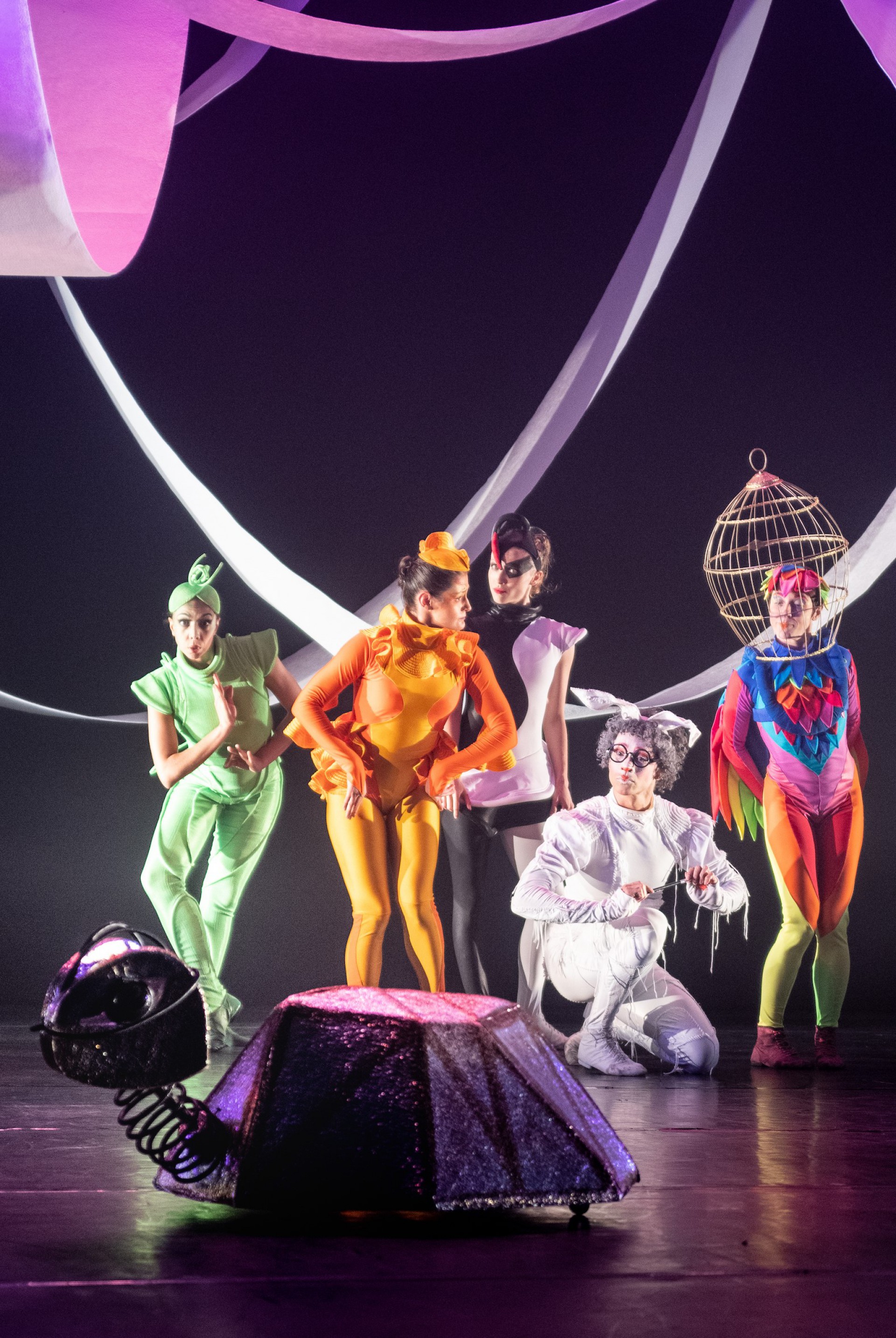 Bichos Dan&ccedil;antes, da Focus Cia de Dan&ccedil;a - Manu Tasca