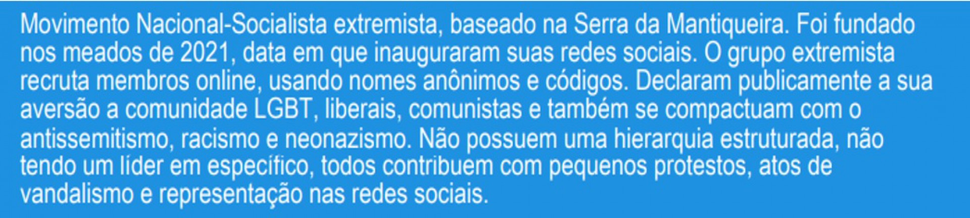 Autodescrição de um dos grupos em que jovens conversavam sobre neonazismo - Reprodução