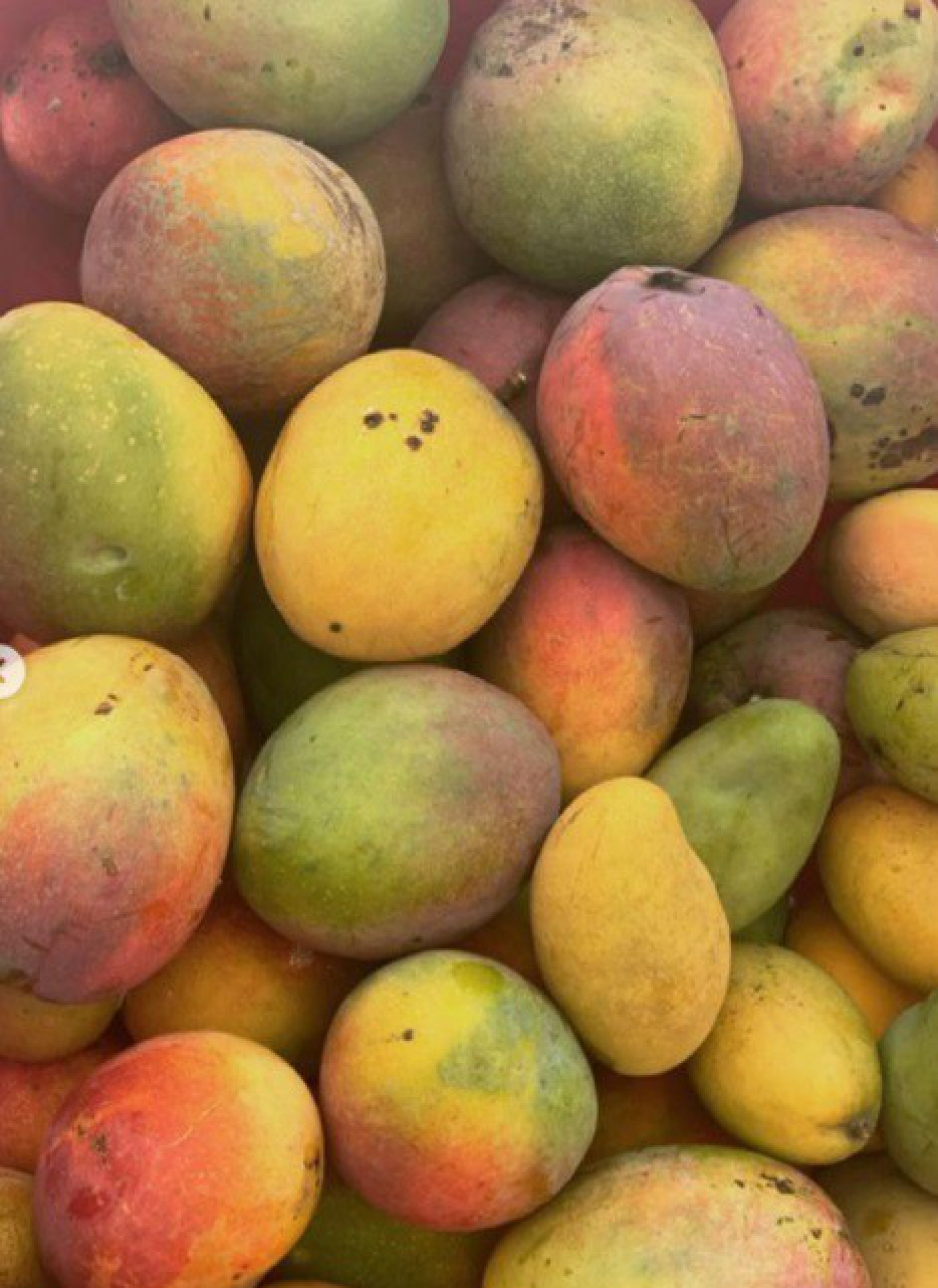 Ana Hickmann sofre acidente doméstico - reprodução do instagram