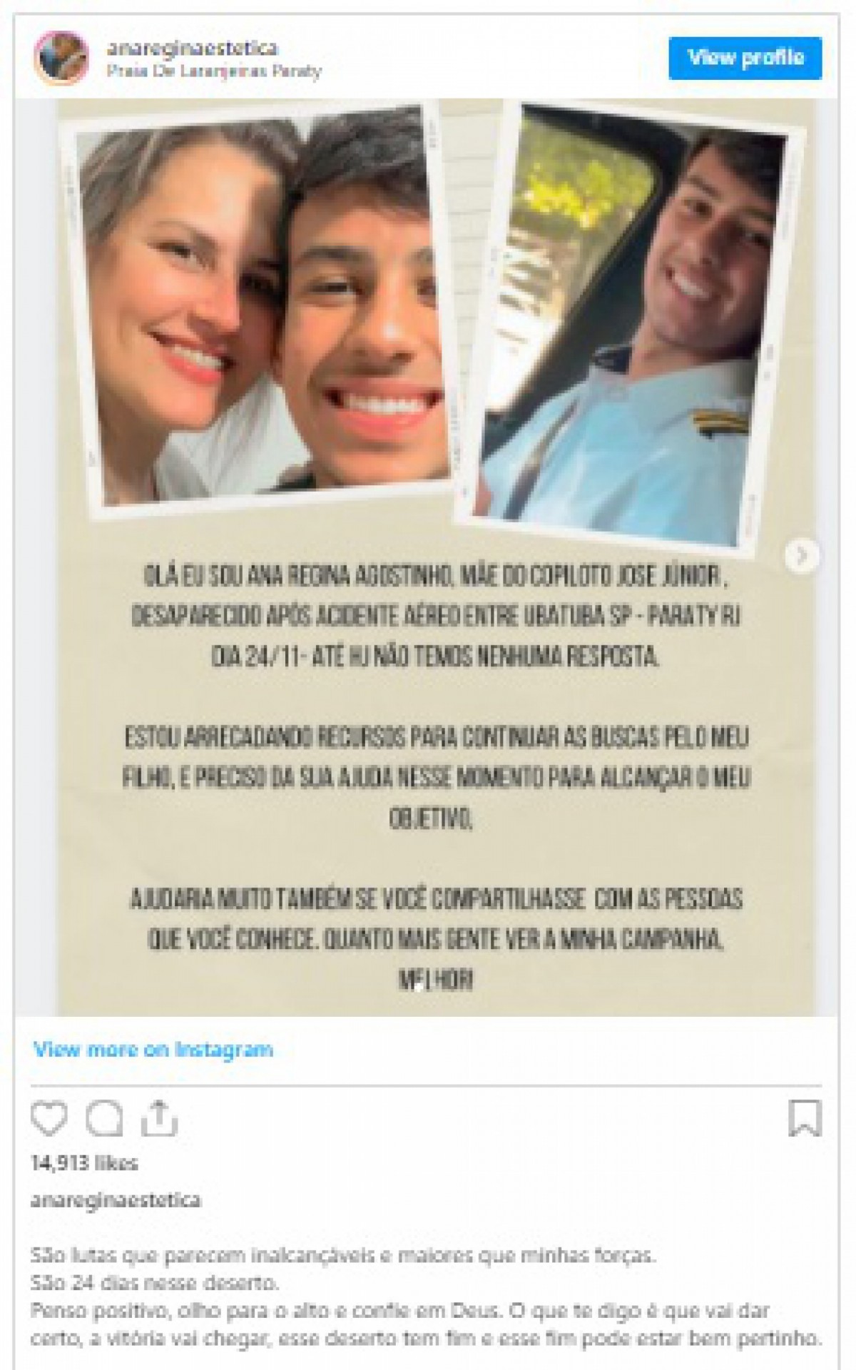 Ana Regina anunciou a vaquinha na internet