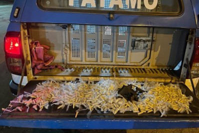 Homem é preso com arma e drogas em São Pedro da Aldeia