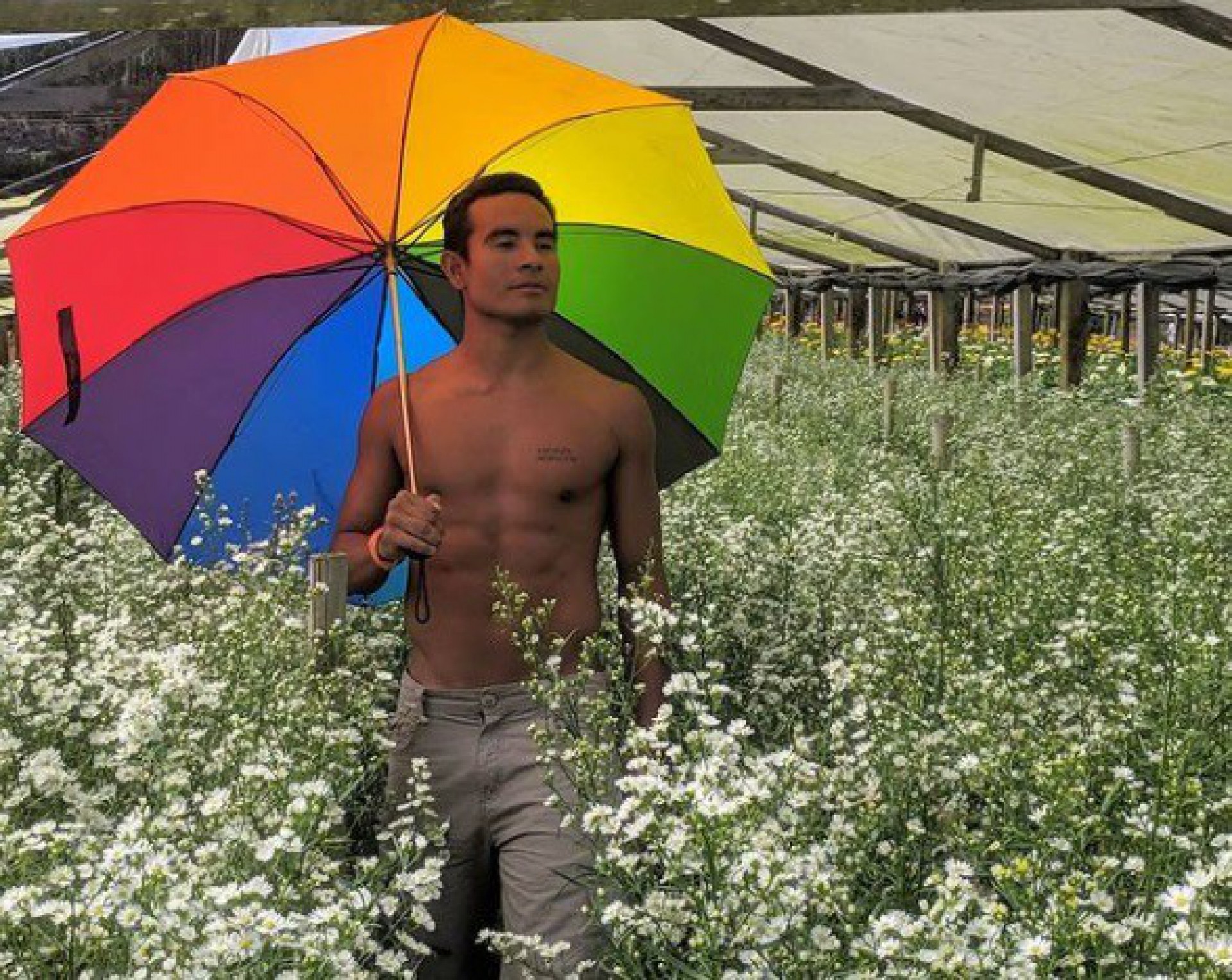 Ian Matos - Reprodu&ccedil;&atilde;o