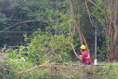 Comdep e CPTrans fazem mutirão de limpeza na Barão do Rio Branco