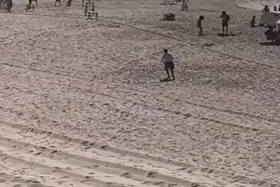 Vídeo: banhistas são atacados por abelhas na praia de Piratininga
