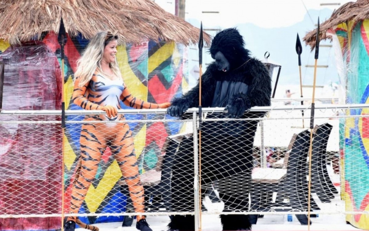 Bichos soltos no mar de Angra