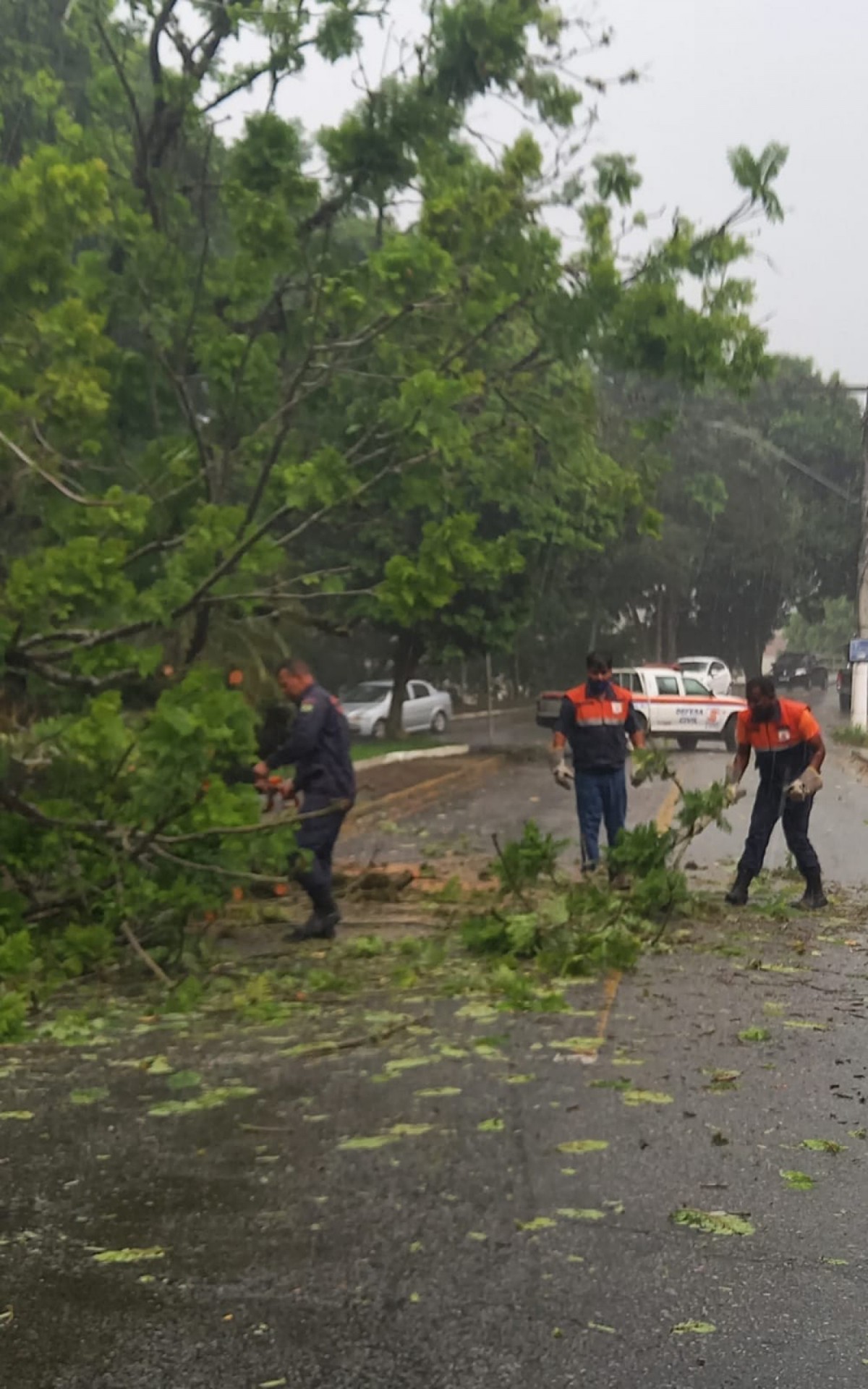 Tr&acirc;nsito no local foi liberado ap&oacute;s trabalho de limpeza da Defesa Civil 
