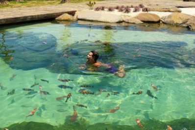 Bruno Gagliasso impressiona internautas ao mostrar 'lago piscina' de seu rancho 