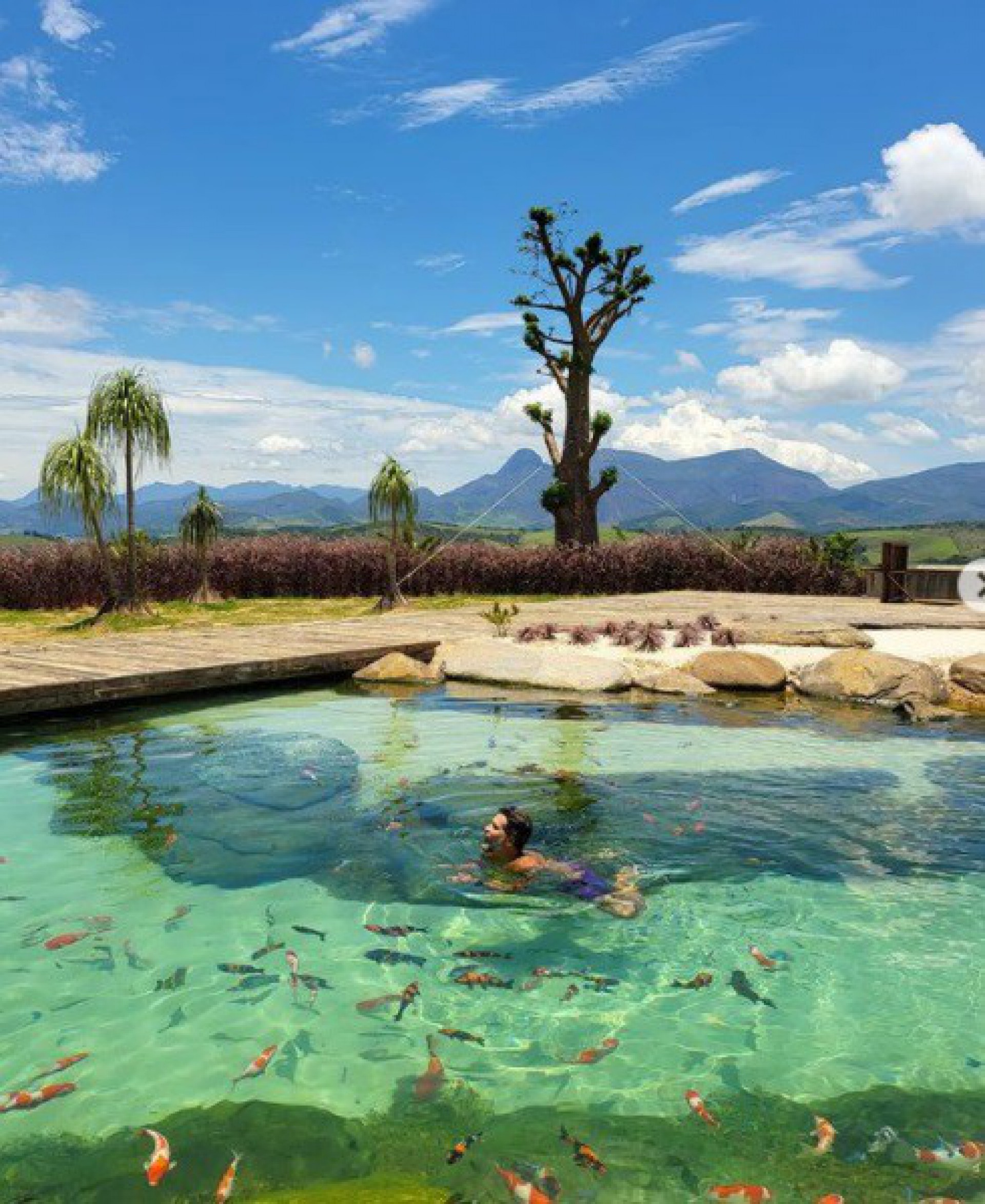 Bruno Gagliasso mostra lago piscina de seu rancho - reprodução do instagram