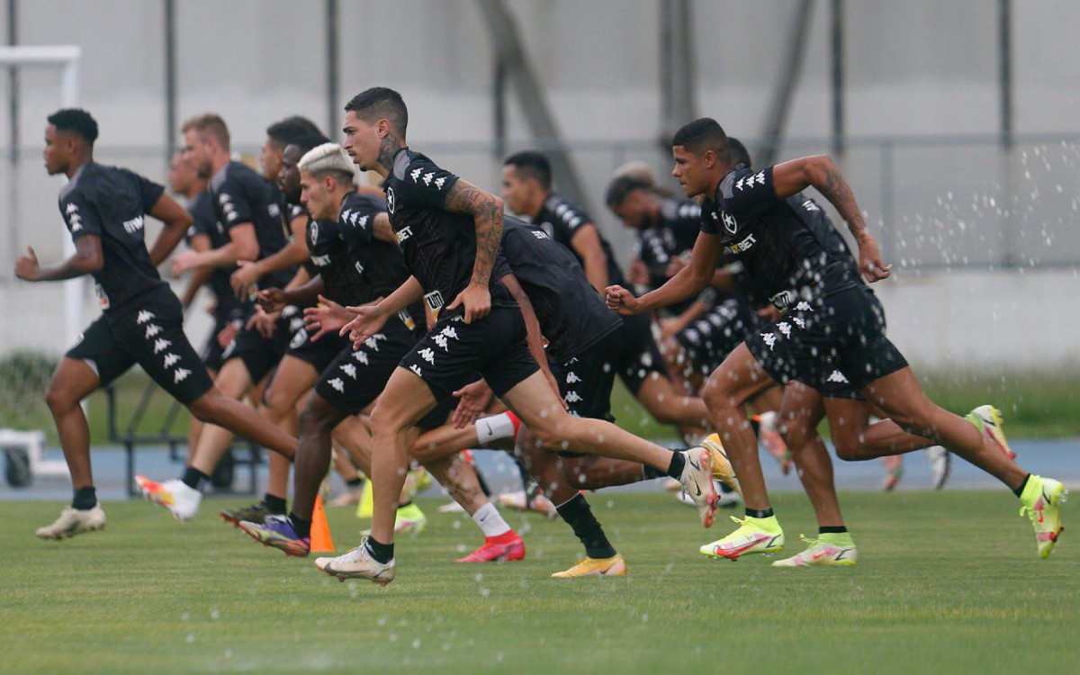 Refor&ccedil;os do Botafogo iniciam treinamento no Nilton Santos