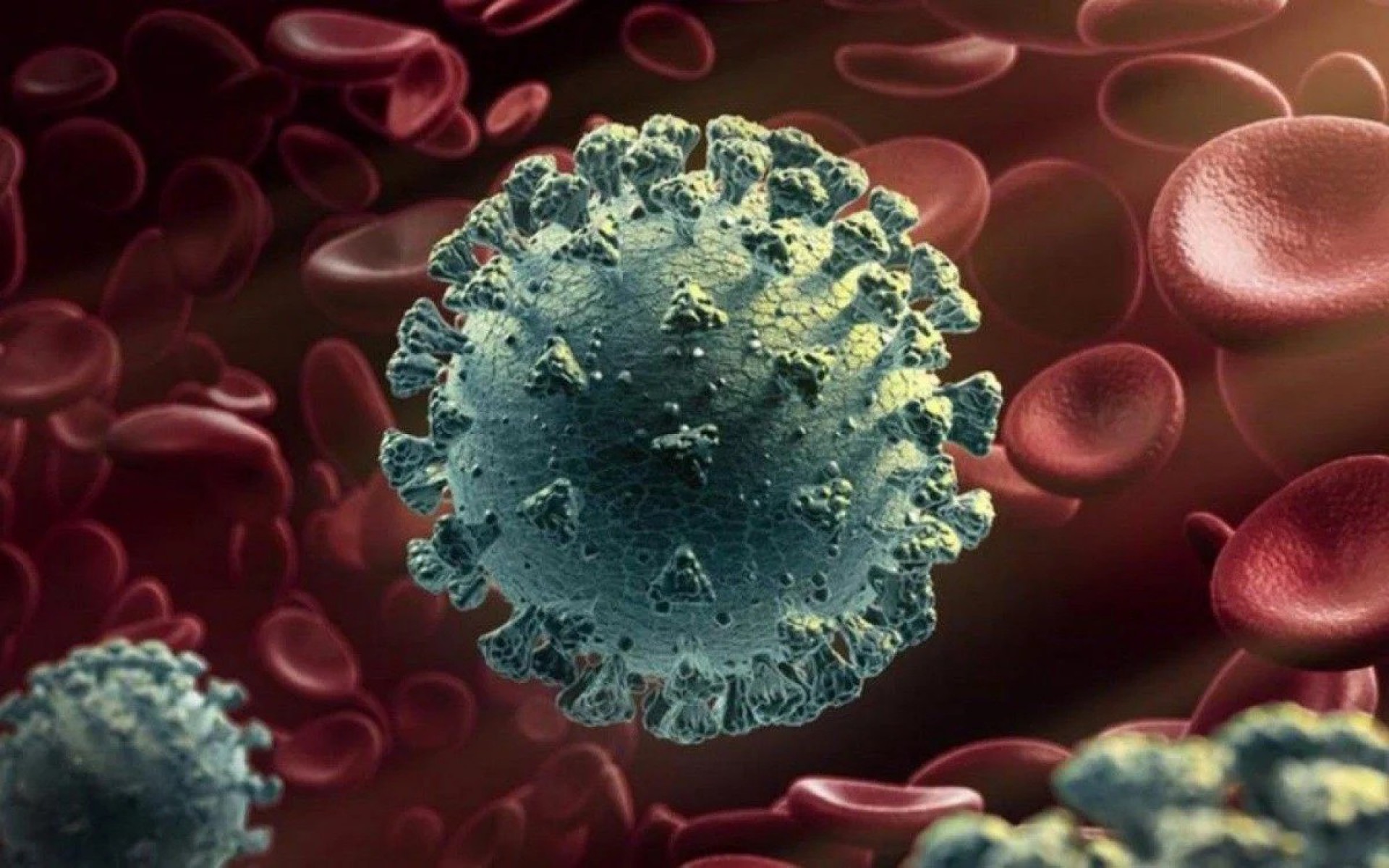 Covid-19 registra 406 novos &oacute;bitos em 24 horas