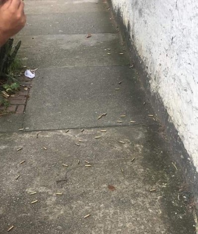 Moradores do Morro do Fubá, em Cascadura, registram várias cápsulas de balas pela rua  - Divulgação
