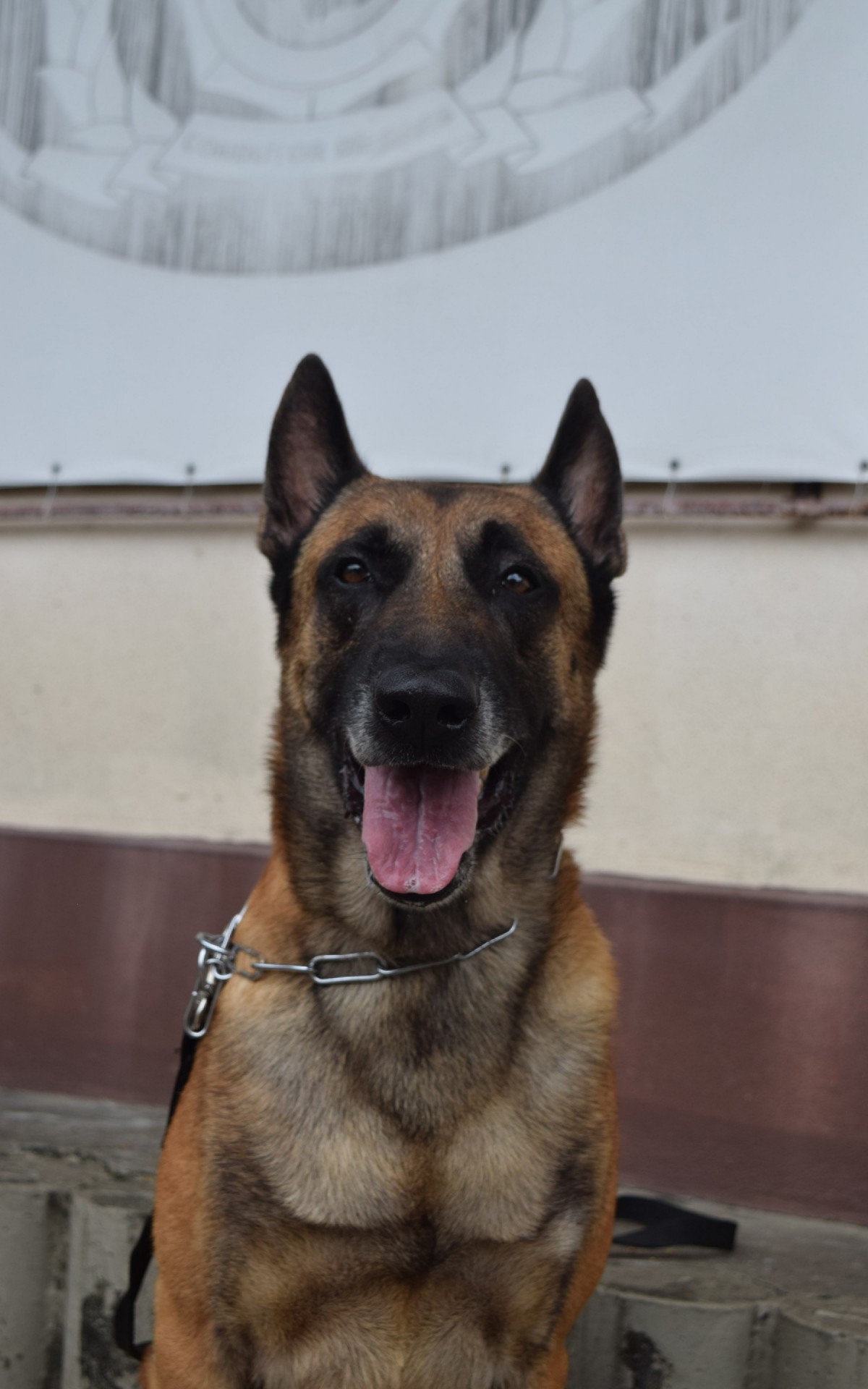 Morfeu &eacute; descrito como equilibrado e fiel