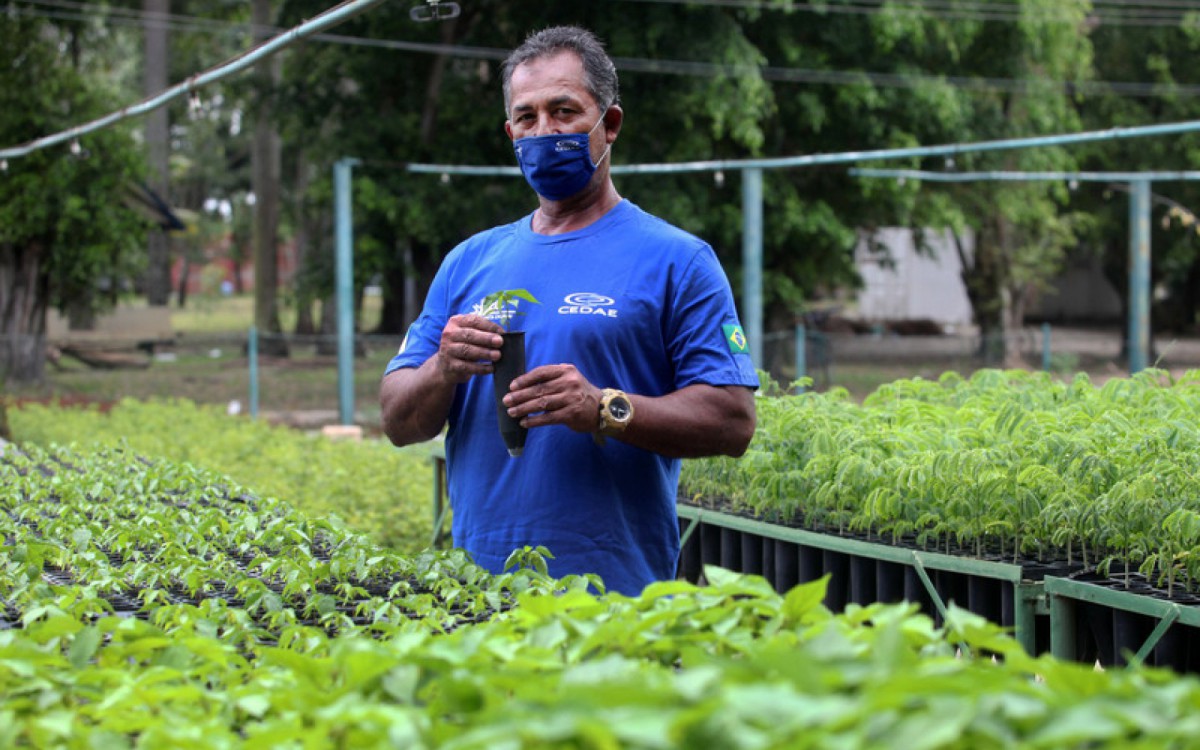 Jos&eacute; Batista, 57 anos, trabalha h&aacute; 13 no Replantando Vida