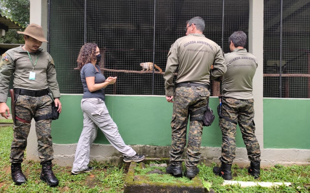 Guardas foram recebidos pelo Dr. Alcides Pissinatti e pela Dr&ordf;. Silvia Bahadian