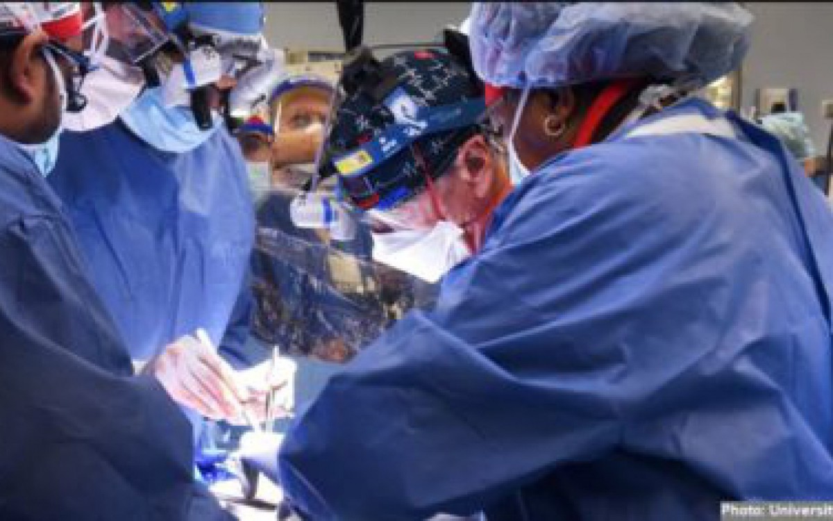 Homem recebe cora&ccedil;&atilde;o de porco durante transplante