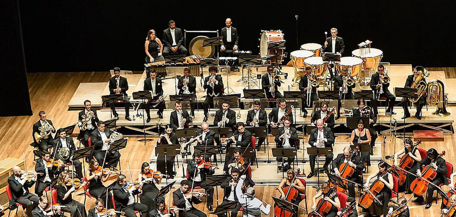 Orquestra Sinfônica Brasileira - Reprodução Internet