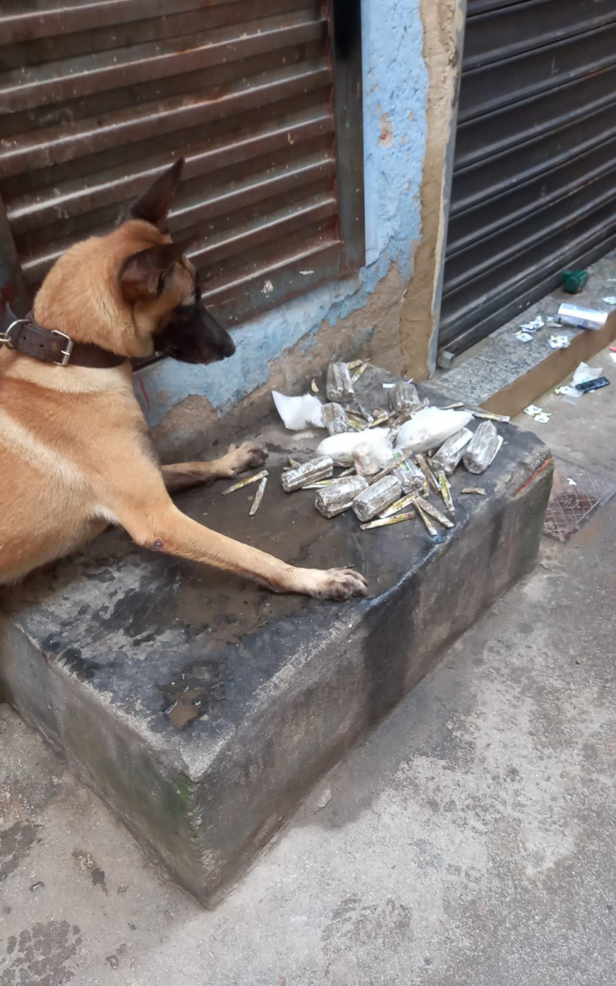 Apreensão de drogas no Mandela. Material ainda será contabilizado - Divulgação / Polícia Militar