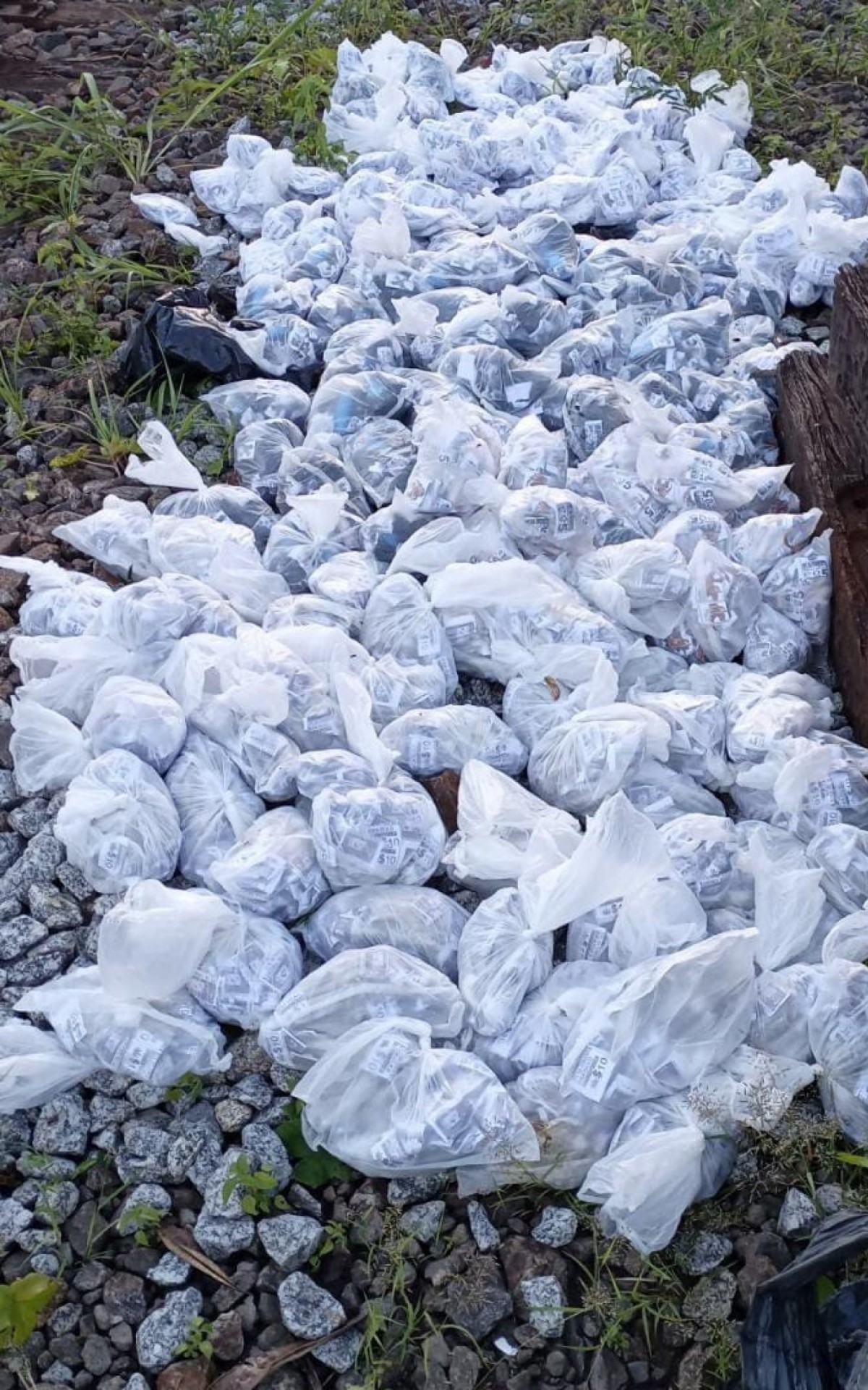 Pol&iacute;cia Militar apreende entorpecentes no Santo Agostinho em VR - Divulga&ccedil;&atilde;o