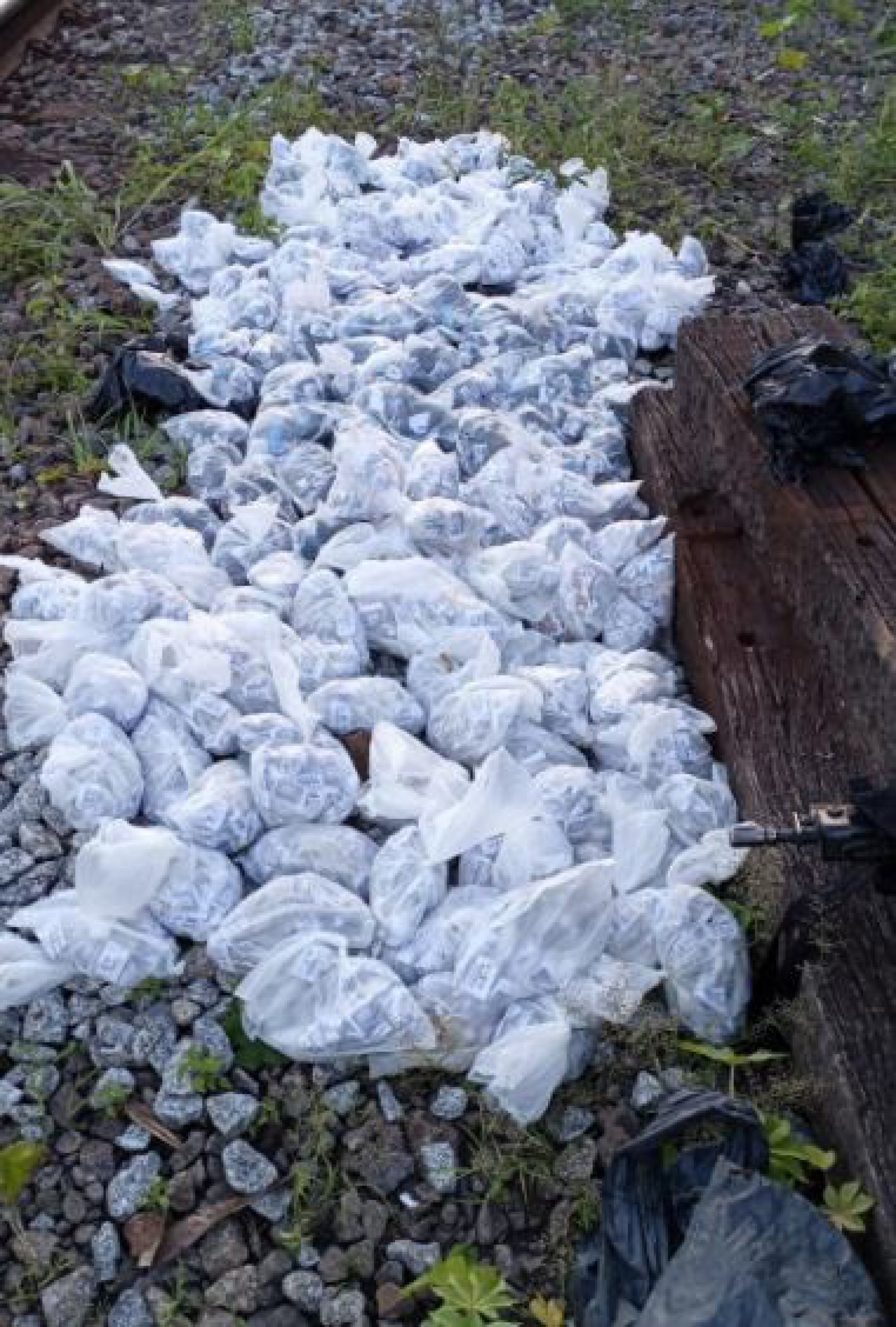 Polícia Militar apreende 17 kg de drogas em Volta Redonda - Reprodução Twitter