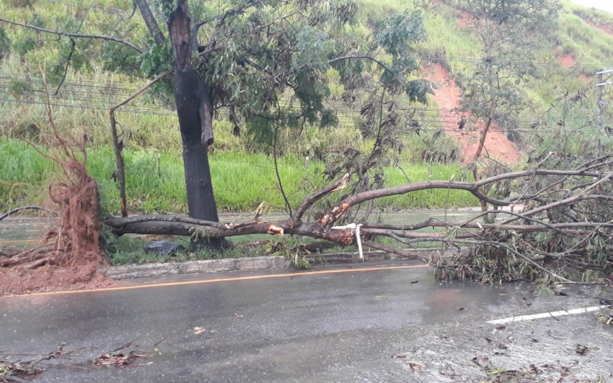 Queda de barreira, &aacute;rvores ao ch&atilde;o na regi&atilde;o do bairro S&atilde;o Geraldo, em Volta Redonda - Reprodu&ccedil;&atilde;o/ Redes Sociais