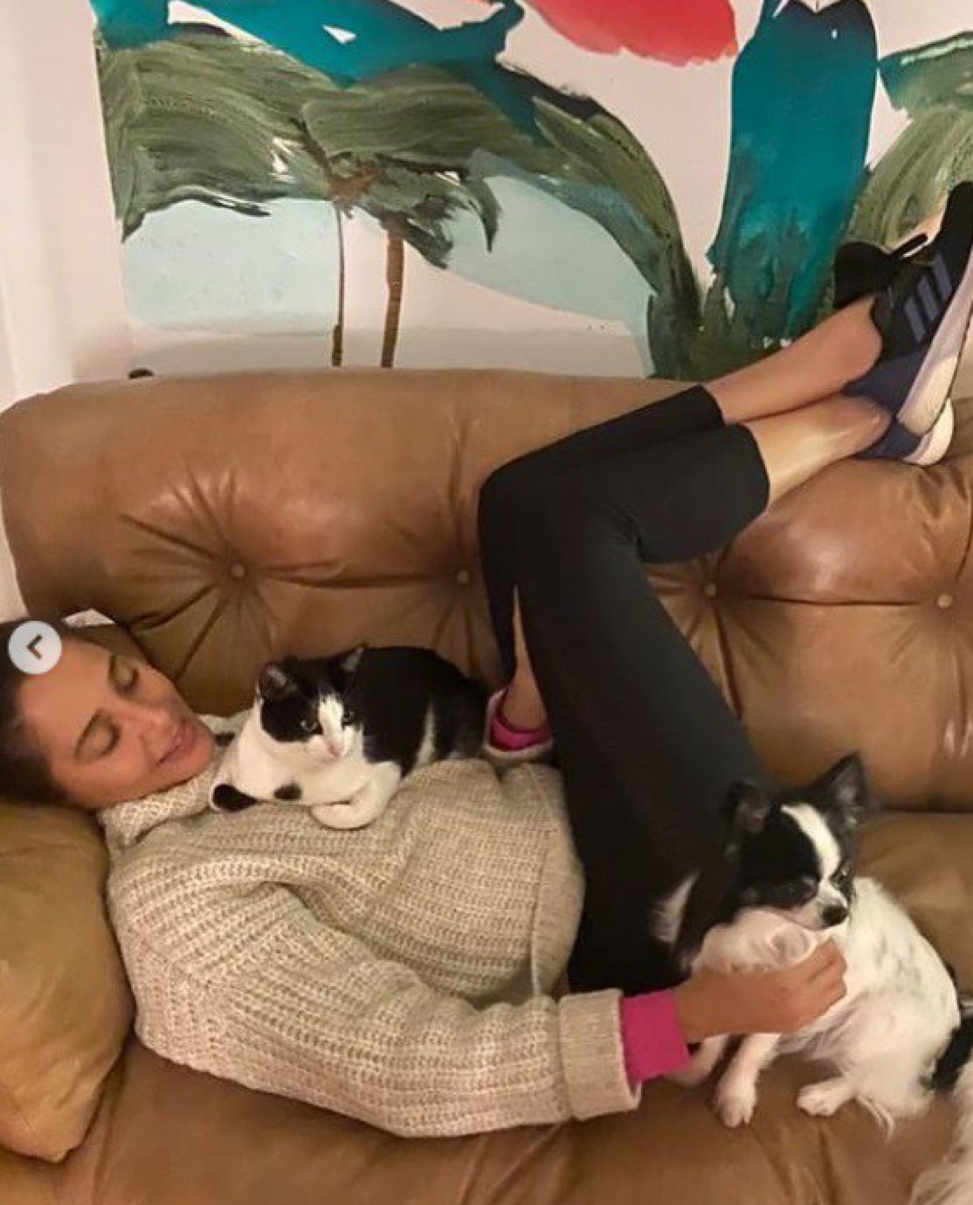 Camila Pitanga pede ajuda para encontrar sua cachorrinha - reprodução do instagram