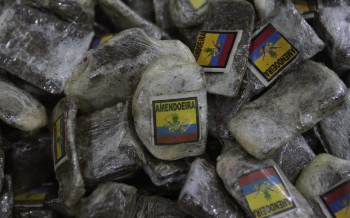 Algumas drogas que j&aacute; estavam embaladas para a venda continham a descri&ccedil;&atilde;o "Amendoeira"   - Marcos Porto / Ag&ecirc;ncia O DIA 