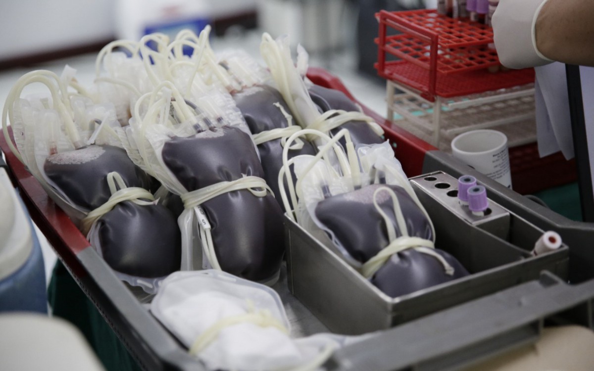 Doação de sangue em Caxias atrai centenas de doadores - Divulgação