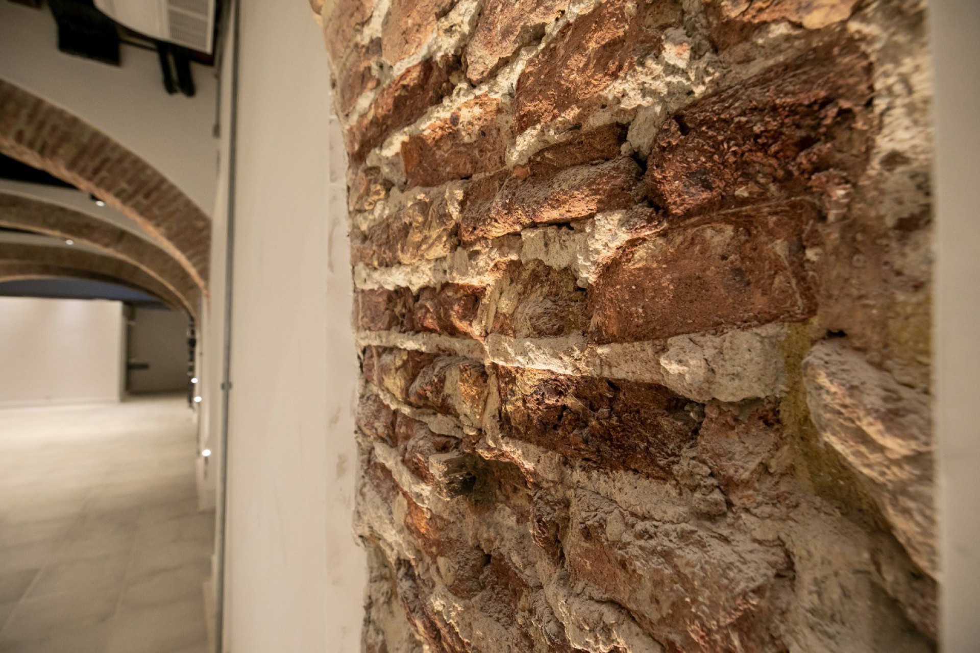 Espaço vai abrigar biblioteca, salão de exposições e um bistrô abertos ao público - Divulgação