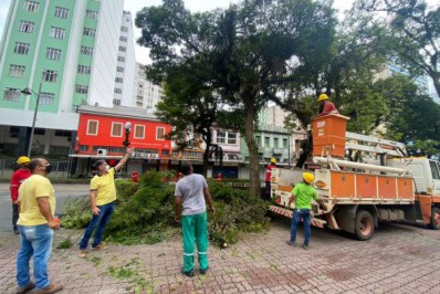 Equipes da Prefeitura realizam poda preventiva no Centro Histórico 