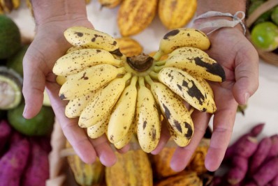 Caxias Shopping recebe tradicional feira com produtos agroecológicos