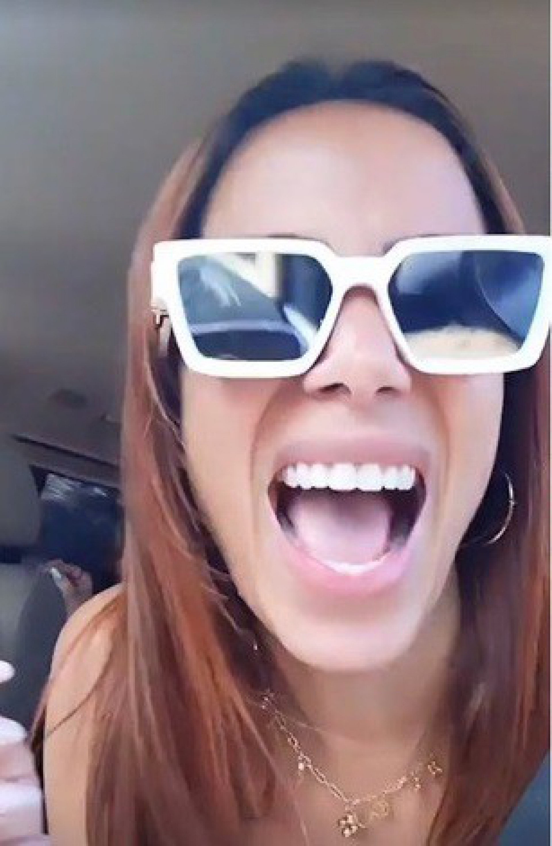 Anitta xaveca motorista - reprodução do instagram