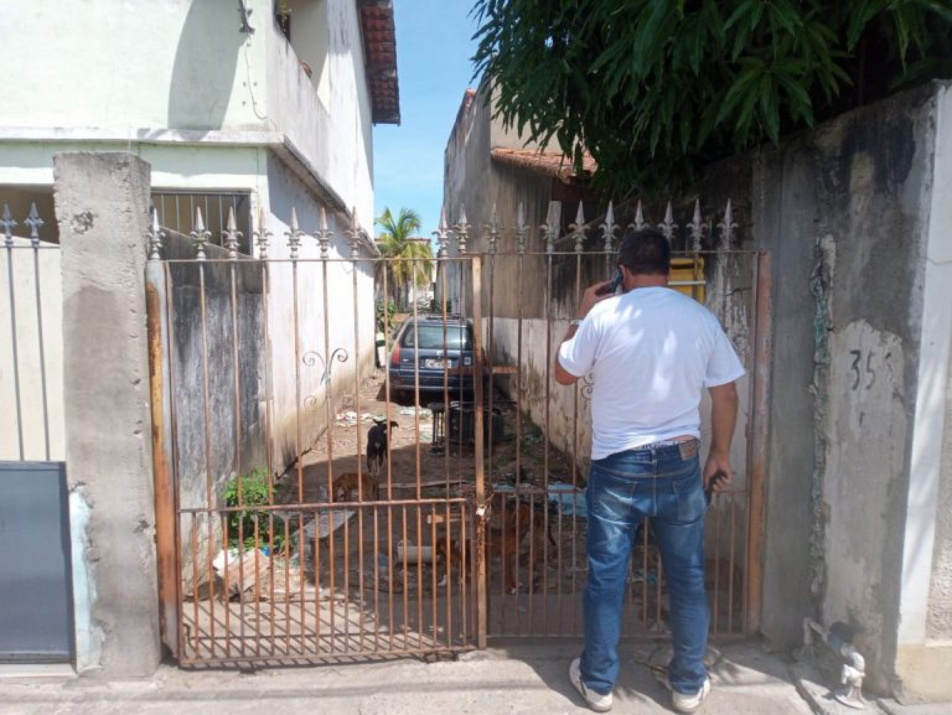 Morador denuncia abandono animal em São Pedro da Aldeia - Sabrina Sá (RC24h)